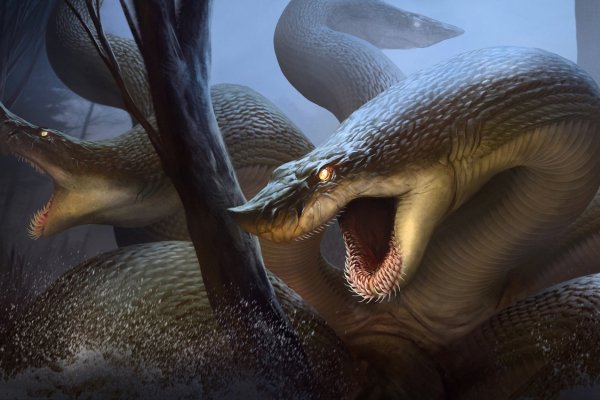 Официальный сайт даркнет